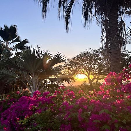 Villa Jouanacaera لو كاربيت المظهر الخارجي الصورة