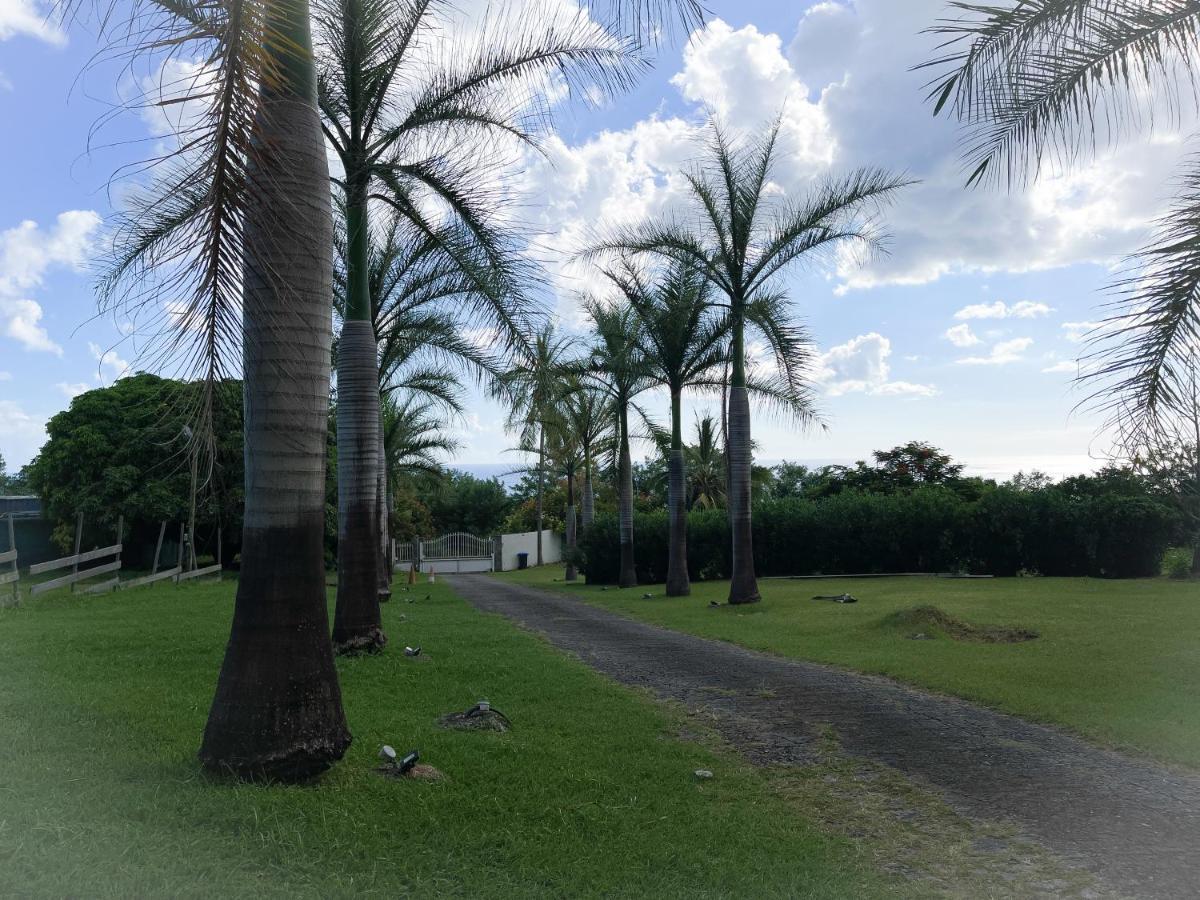 Villa Jouanacaera لو كاربيت المظهر الخارجي الصورة