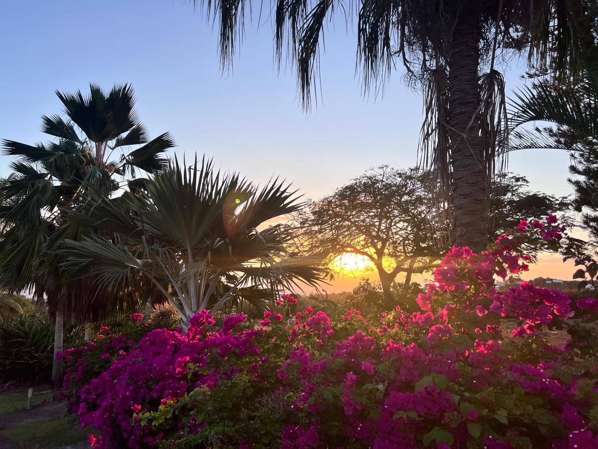 Villa Jouanacaera لو كاربيت المظهر الخارجي الصورة